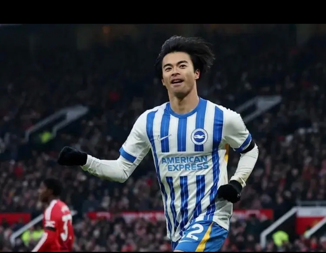 爱尔兰都柏林拳击比赛没有马赛克 爱尔兰都柏林拳击比赛没有马赛克